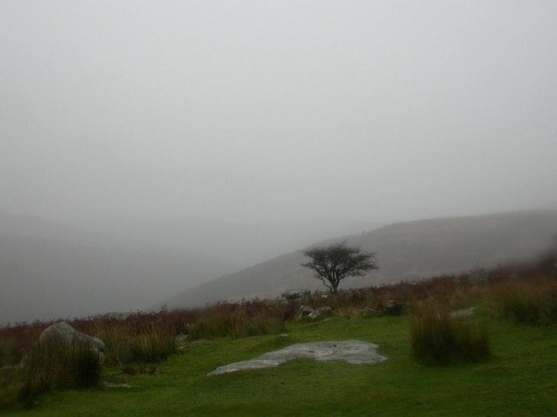 Dartmoor Mists 2.jpg